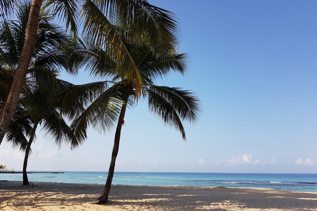 Strand Hotel Viva Dominicus Beach by Wyndham - All Inclusive Resort