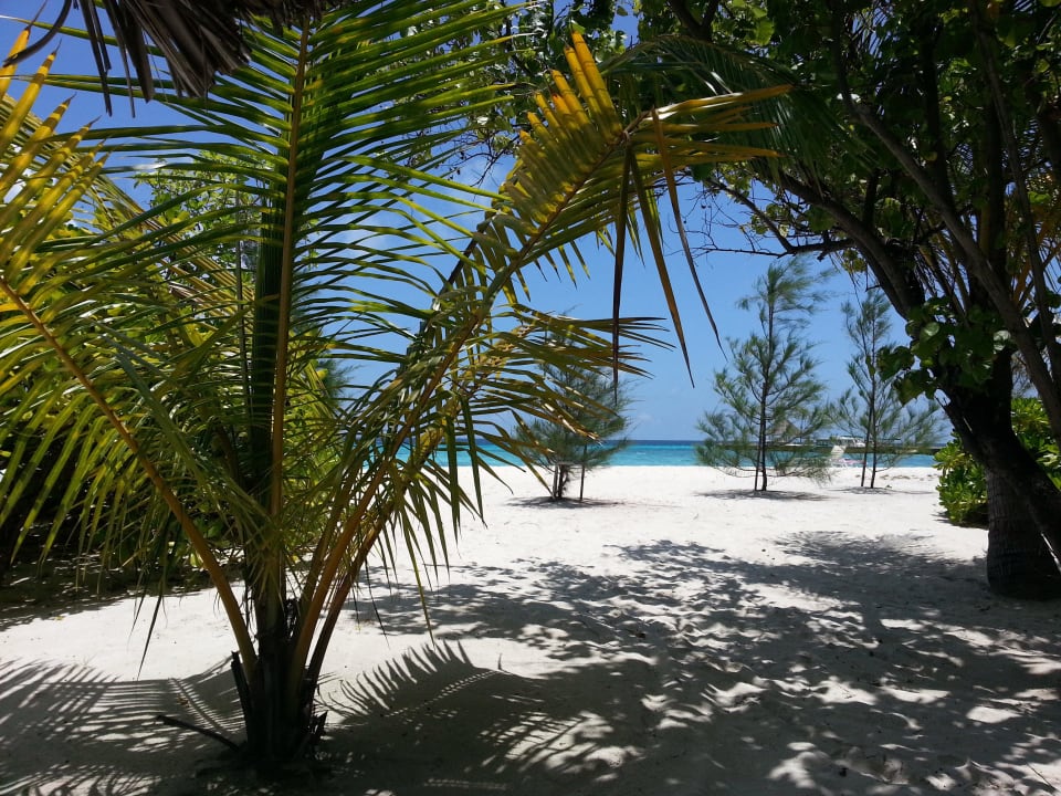 Blick vom Bungalow zum Strand Summer Island Maldives