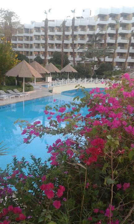 Pool Pyramisa Hotel Luxor