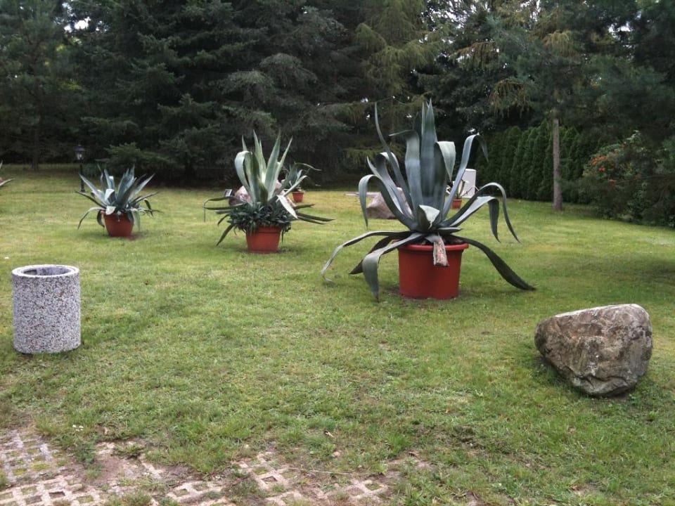 Garten Hotel Seeschlösschen