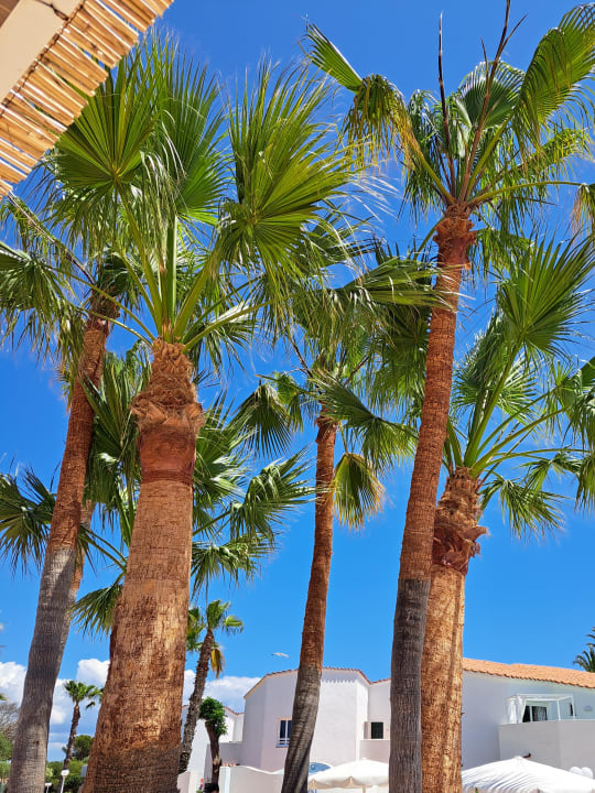 Sonstiges Marinda Garden Aparthotel