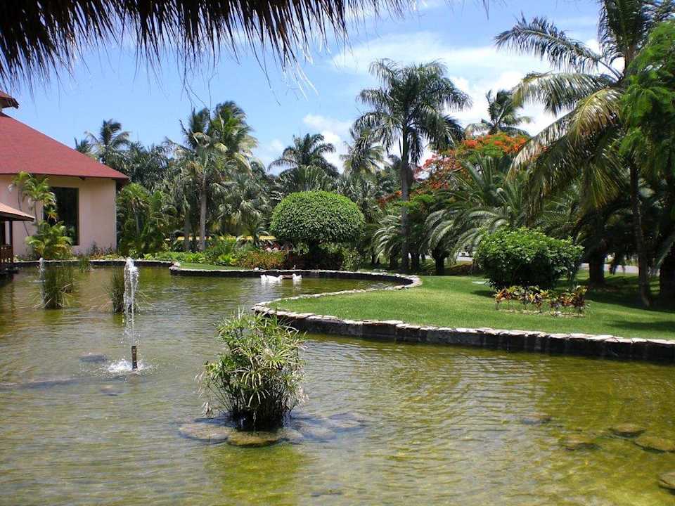 Teich bei den Restaurants Grand Palladium Select Bávaro Resort & Spa