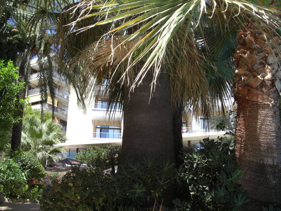 Blick aus dem Pool Reverence Mare - Adults only