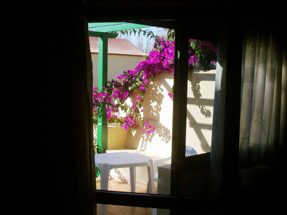 Schöner Blick aus dem Zimmer Hotel Royal Suite