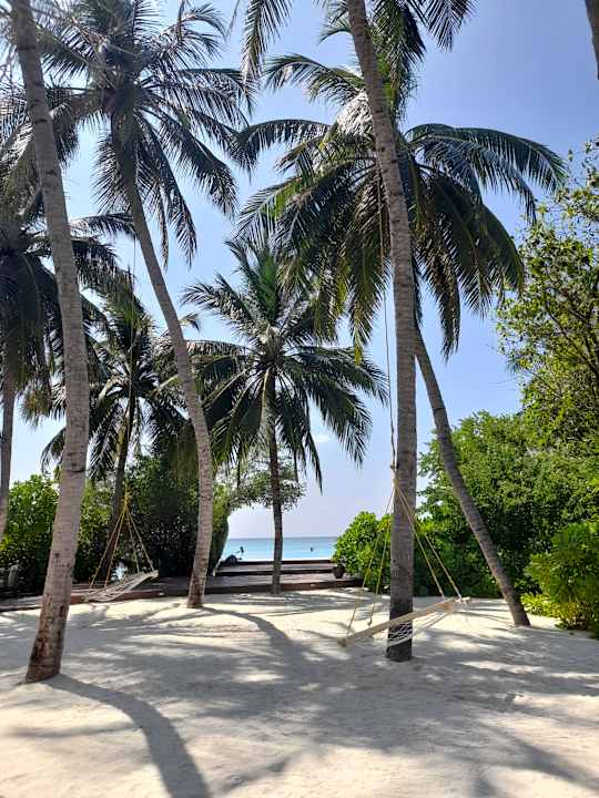 Ausblick Summer Island Maldives