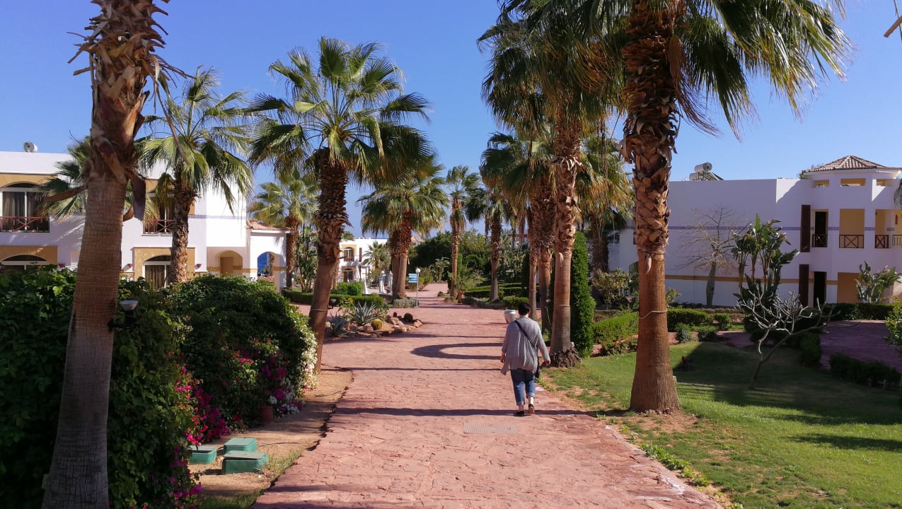 Gartenanlage Amphoras Blu