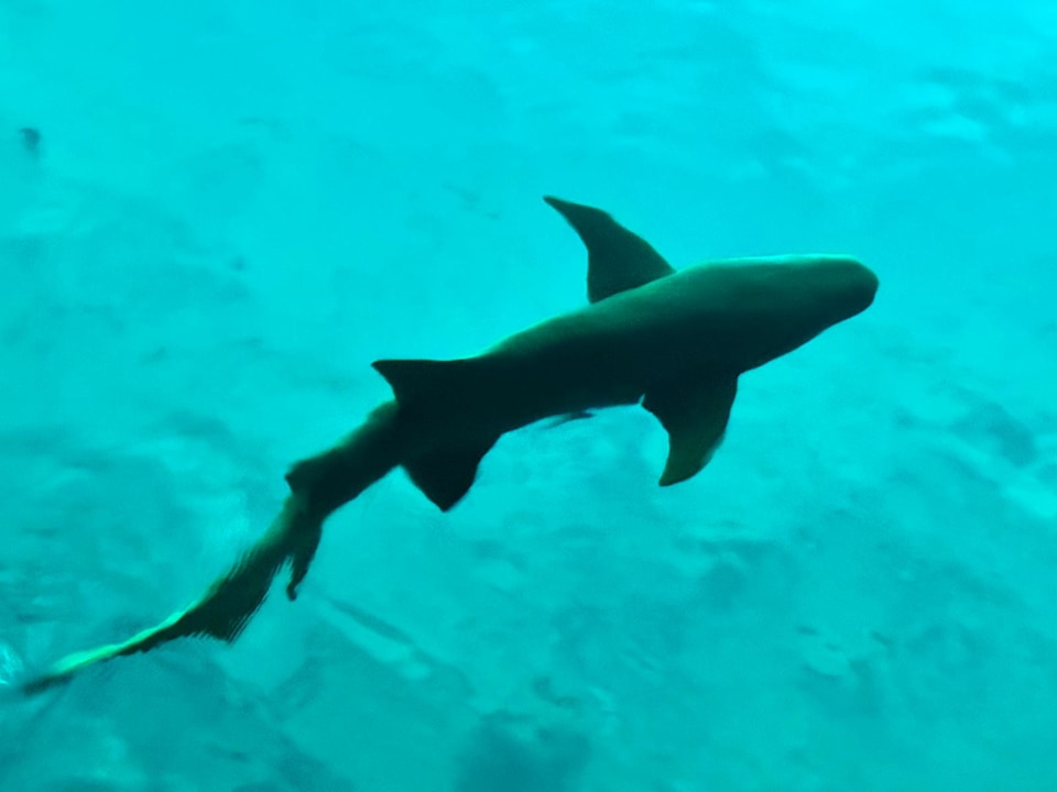 Sonstiges Kuredu Island Resort & Spa