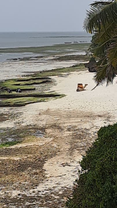 Strand Bahari Beach Hotel