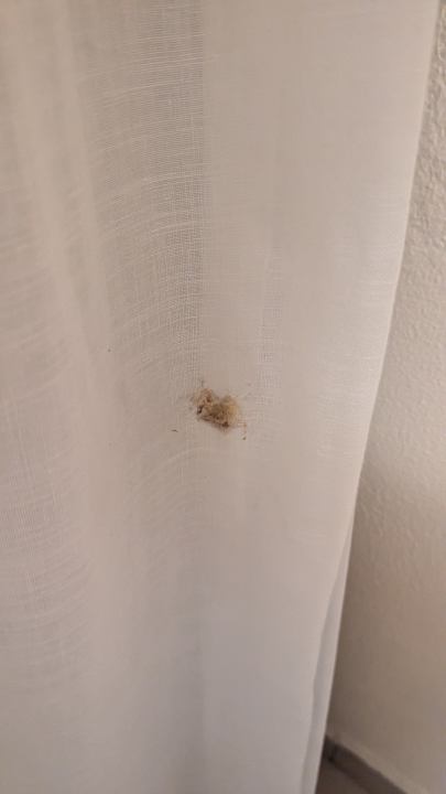 Zimmer Grecotel Casa Paradiso