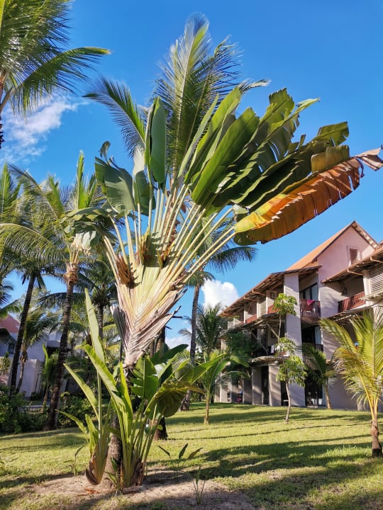 Gartenanlage Crystals Beach Resort Belle Mare, a member of Radisson Individuals
