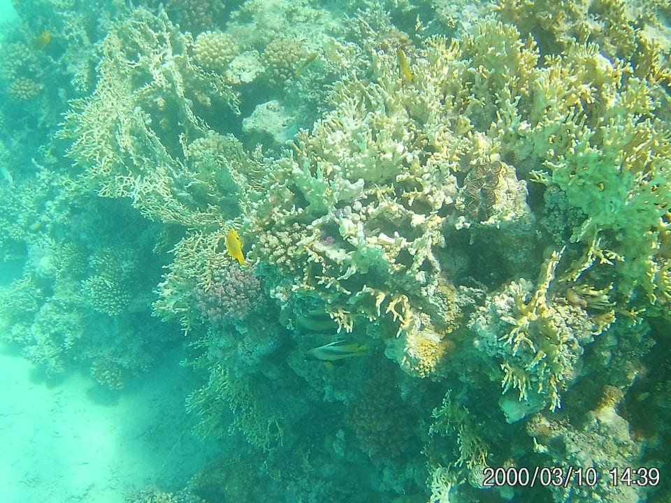 Sport & Freizeit Stella Beach Resort & Spa Makadi Bay