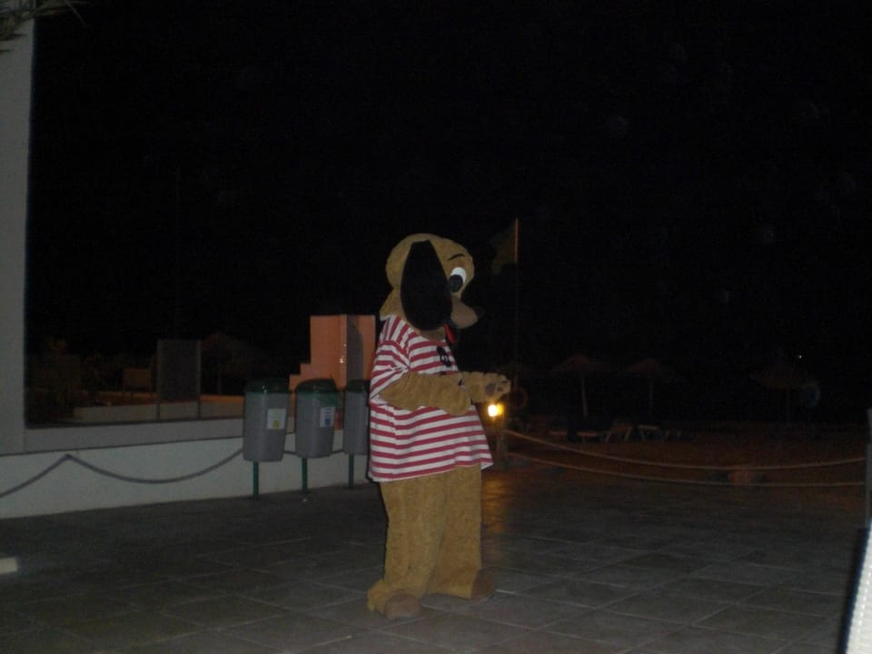 Ein wenig Spaß muss sein Sentido Djerba Beach