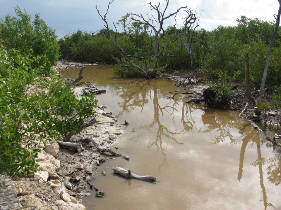 Gegenüber dem Eingang Hotel Villas Flamingos