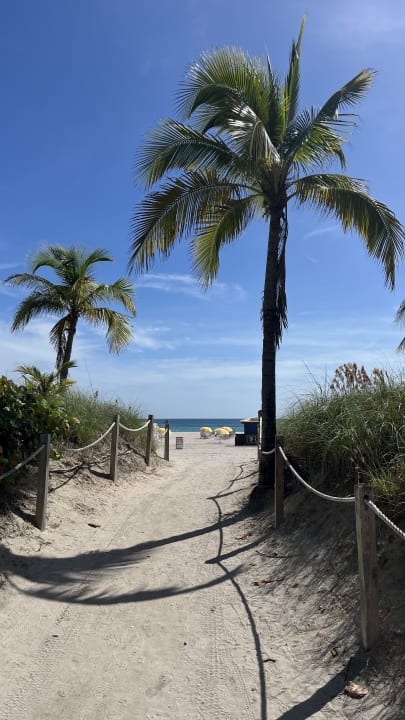 Strand Royal Palm South Beach Miami, a Tribute Portfolio Resort