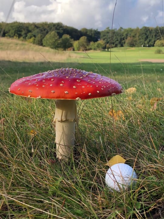 Sonstiges Best Western Premier Castanea Resort Hotel