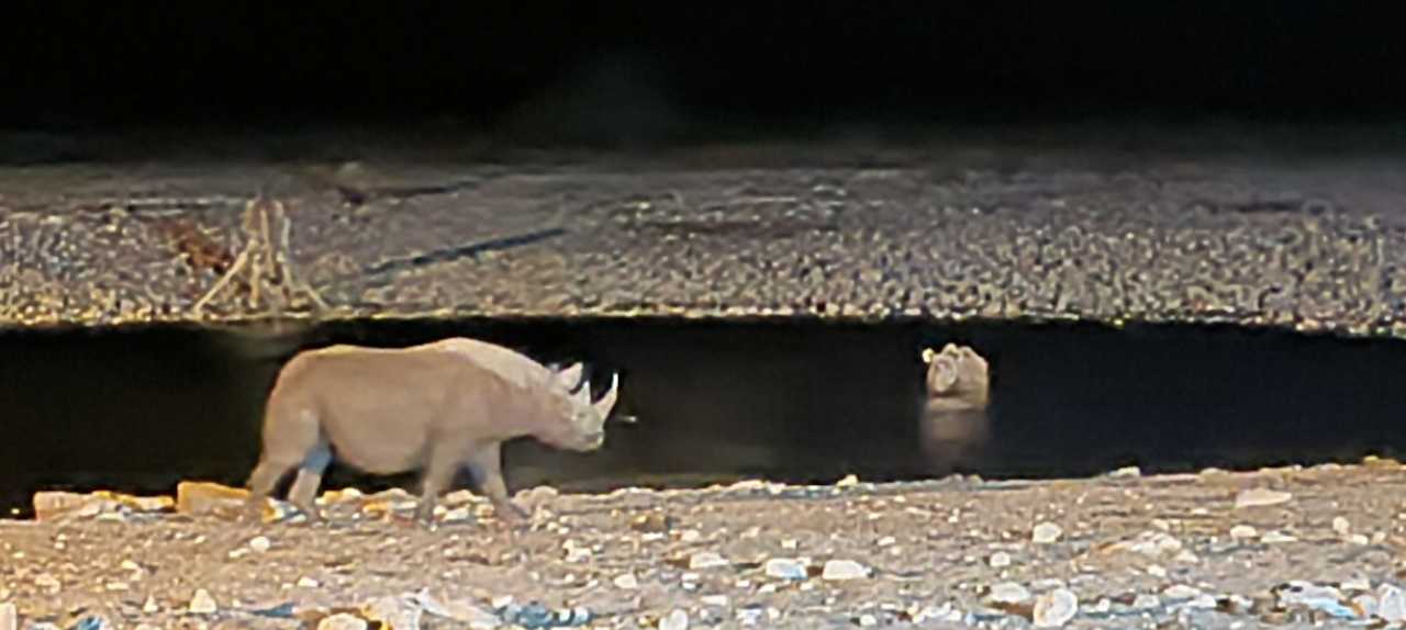 Sonstiges Okaukuejo Camp