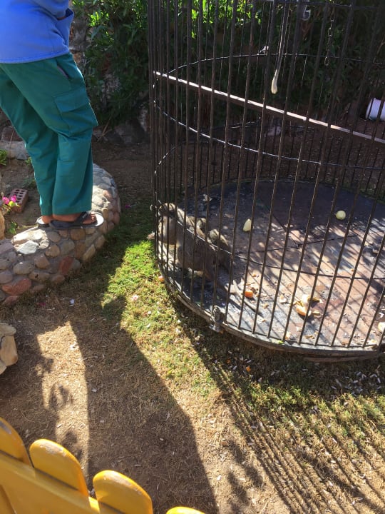 Gartenanlage Riviera Aqua Park Resort