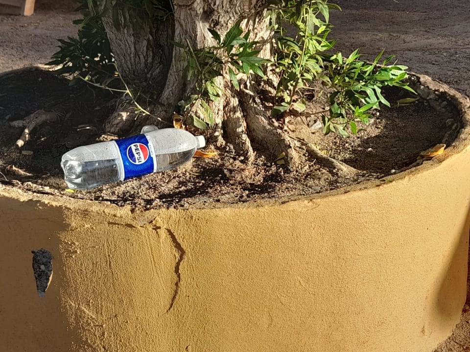 Pool Stella Beach Resort & Spa Makadi Bay