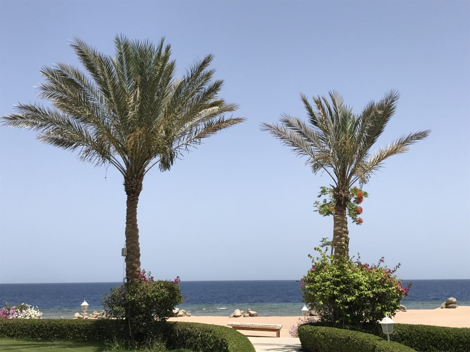 Ausblick TUI MAGIC LIFE Kalawy
