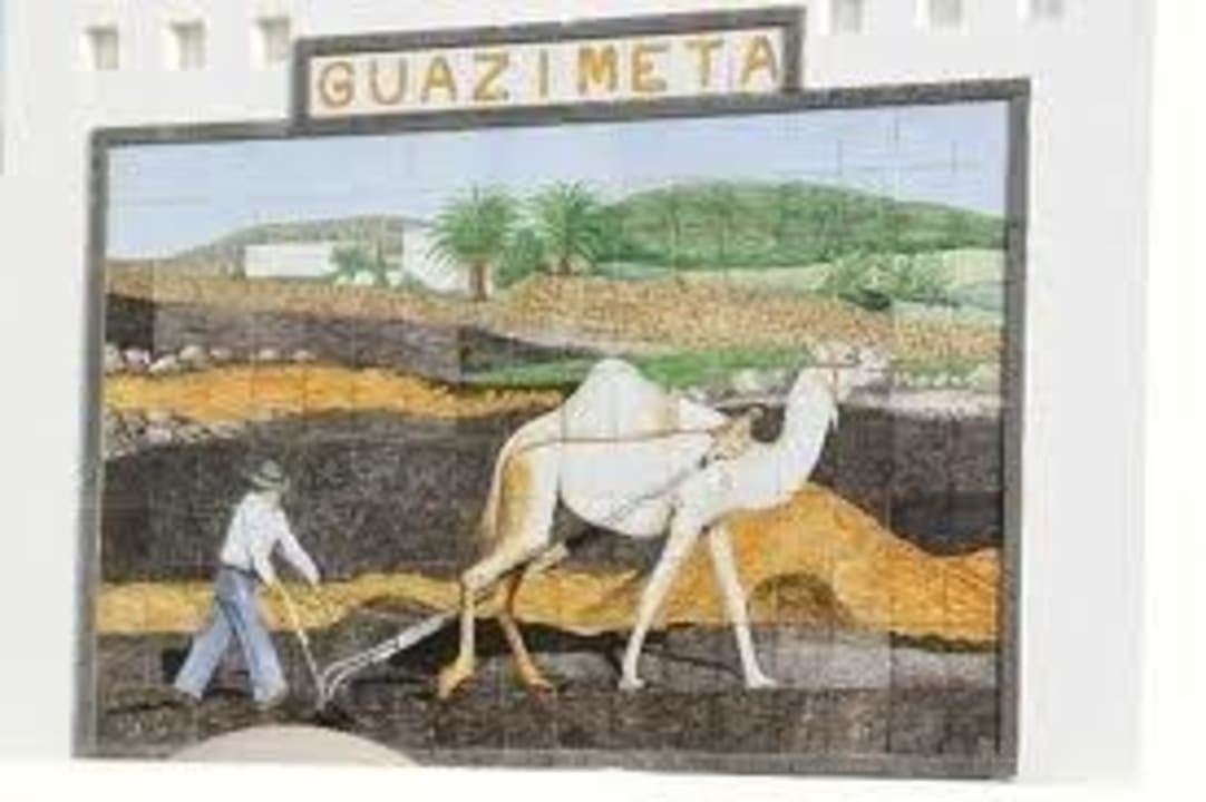 Cuadro canario Apartamentos Guacimeta