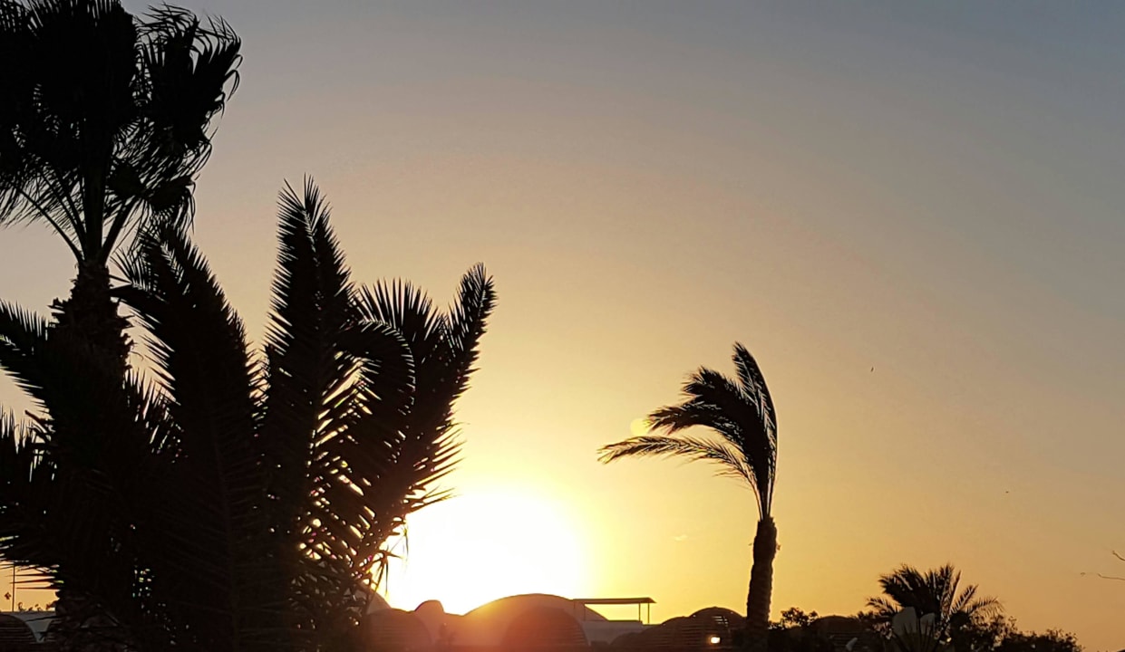 Desert Rose Resort Desert Rose