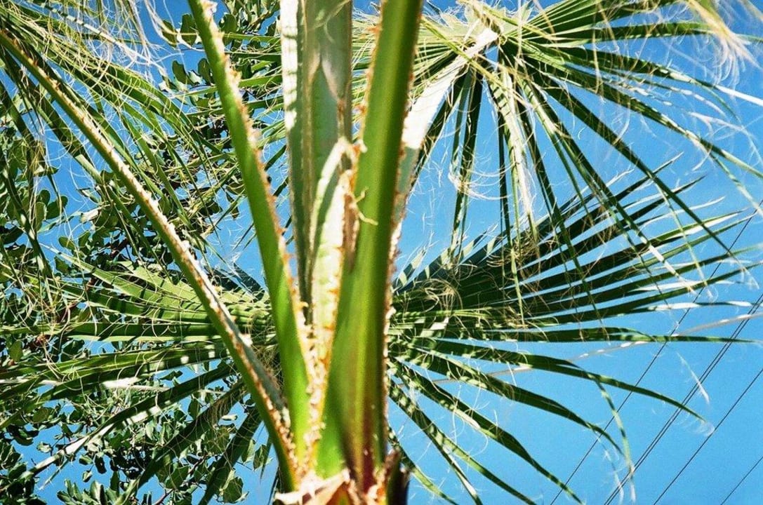 Ohne Titel New Garden Hotel Side