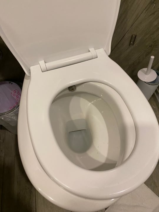 Zimmer Gold Island Selected