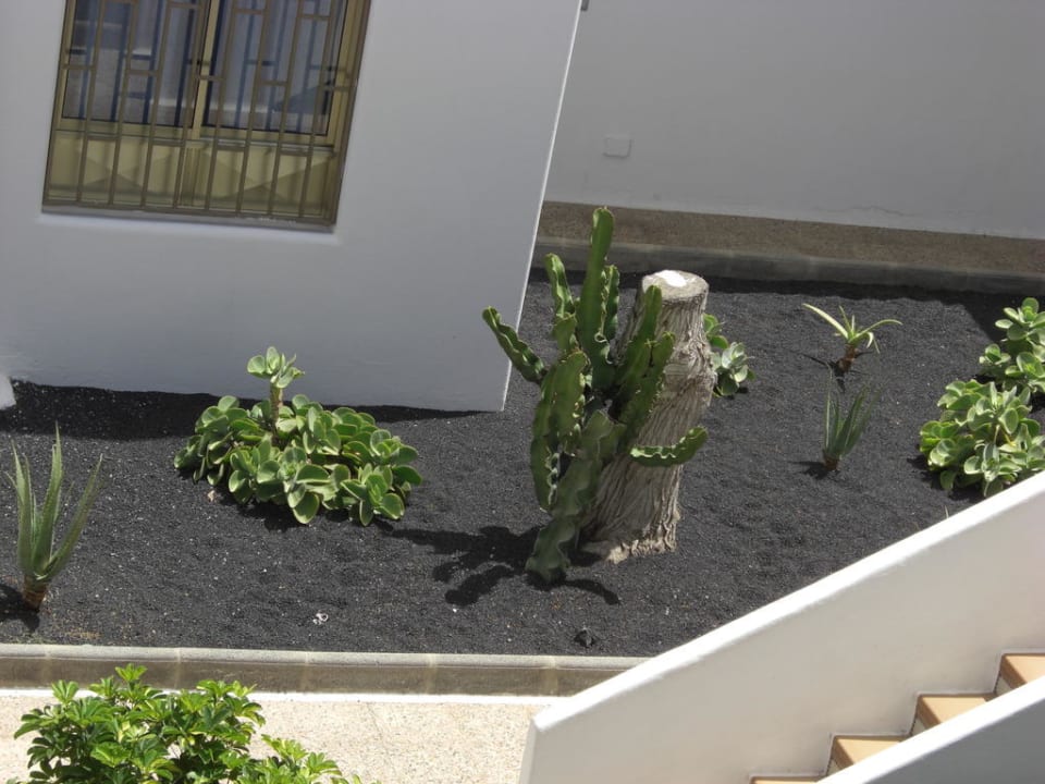 Gartenanlage vom Balkon Hotel Floresta