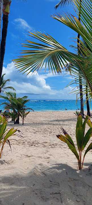 Strand Hotel Riu Palace Punta Cana