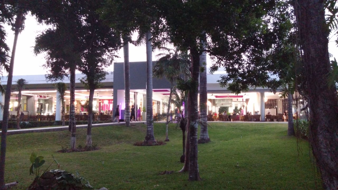 Reception Hotel Riu Yucatan