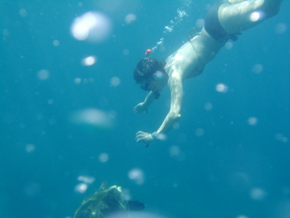 Schildkröte und ich Embudu Village