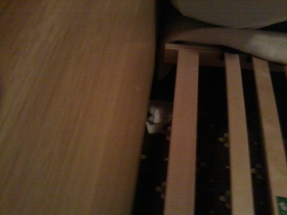 Tempos fremer unter lattenrost-2 Hotel Bergland-Hof