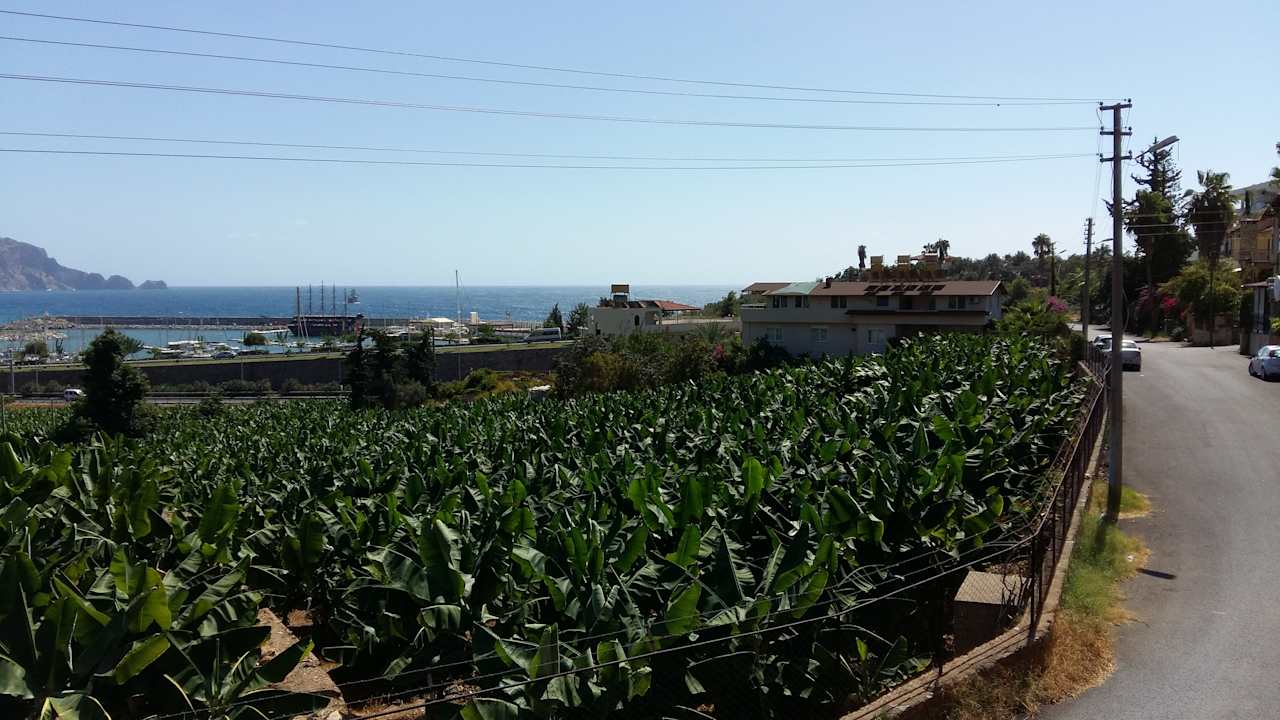 Ausblick La Finca Marina