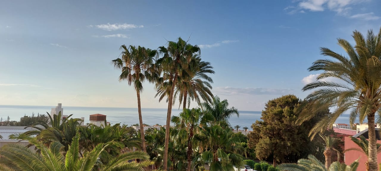 Gartenanlage allsun App.-Hotel Esquinzo Beach