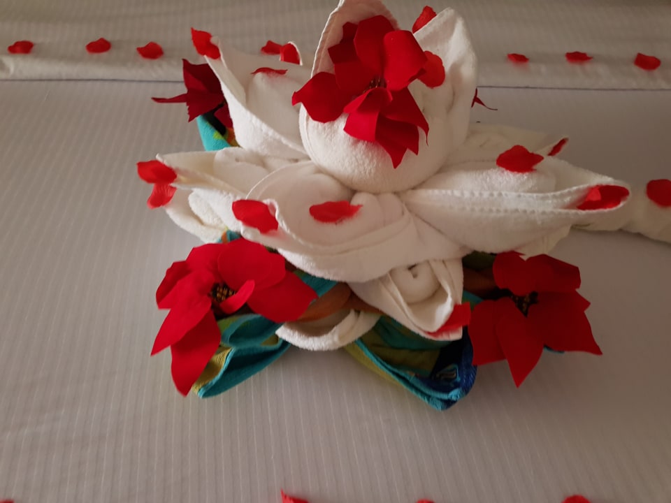 Zimmer Coral Sea Holiday Village