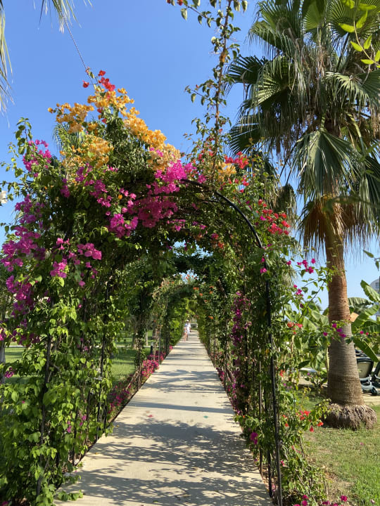Gartenanlage Hotel Novum Garden Side