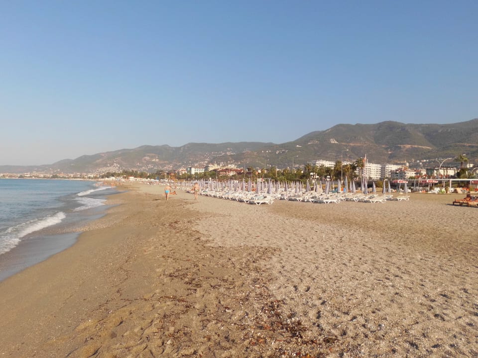 Strand Blue Diamond Alya