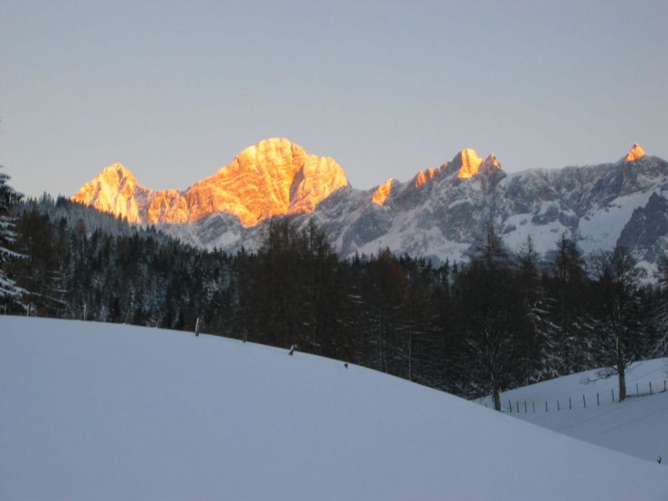Aussicht/Ausblick Brandstätterhof