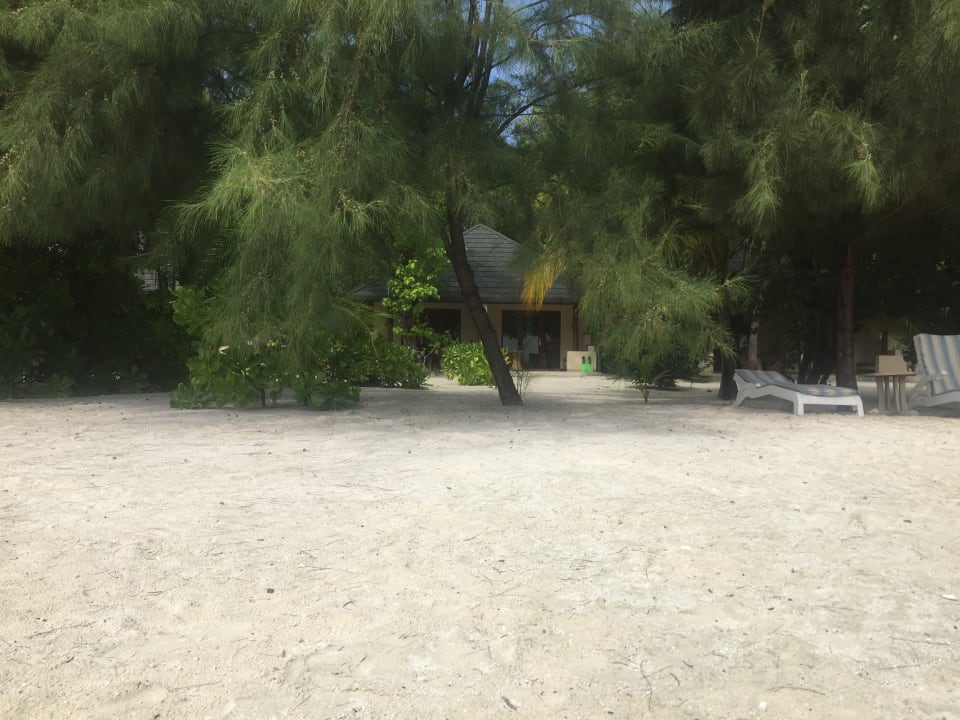 Strand Summer Island Maldives