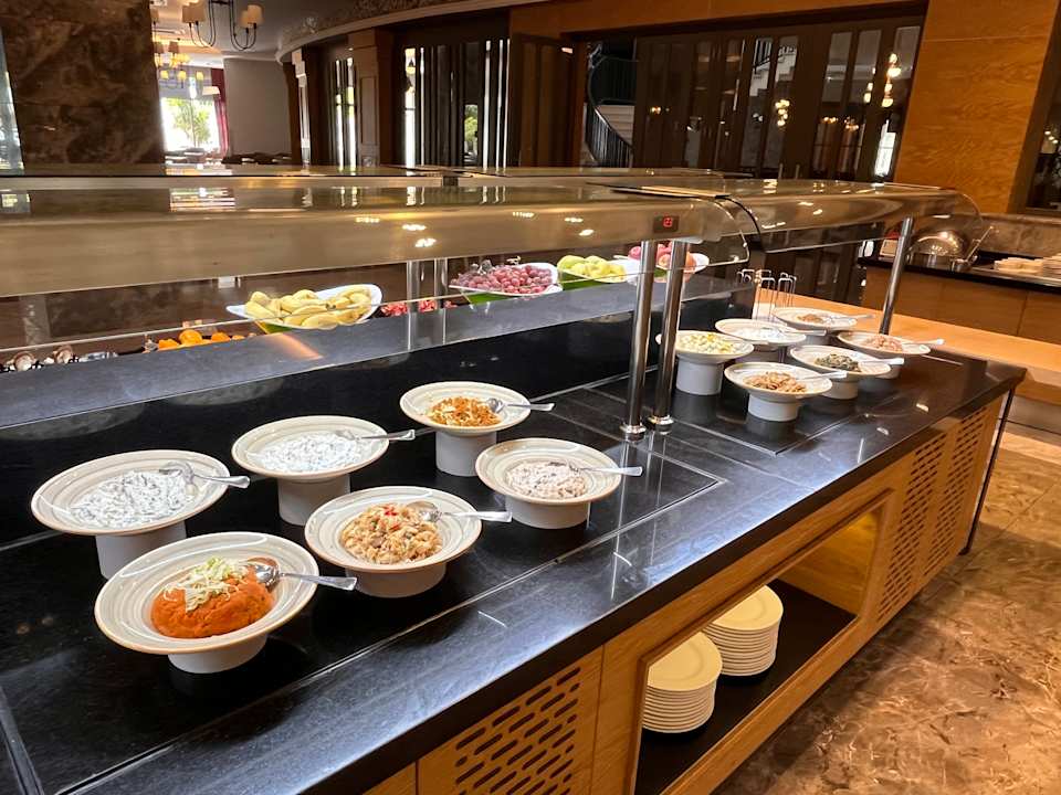 Gastro Seashell Vega