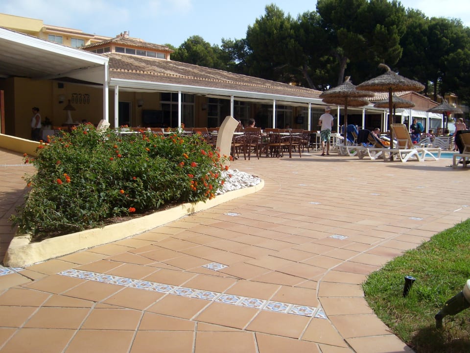 Blick auf die Bar neben dem Pool  Prinsotel La Pineda