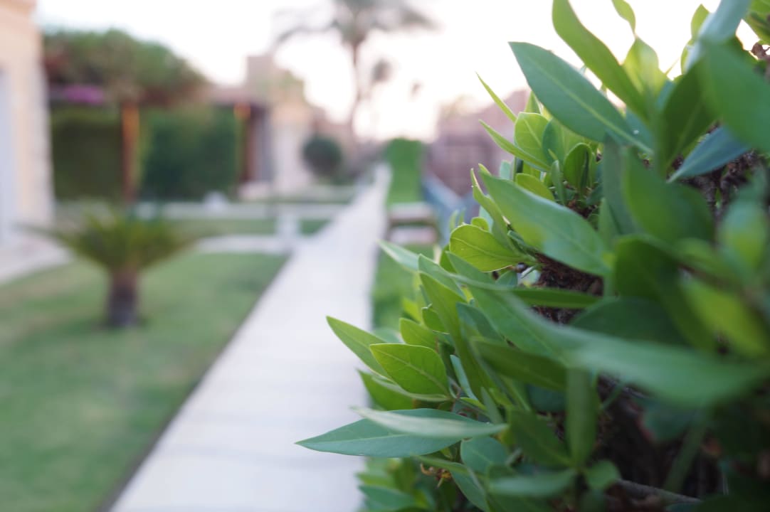 Weg zu den Zimmern Shams Prestige Abu Soma-Adults Only