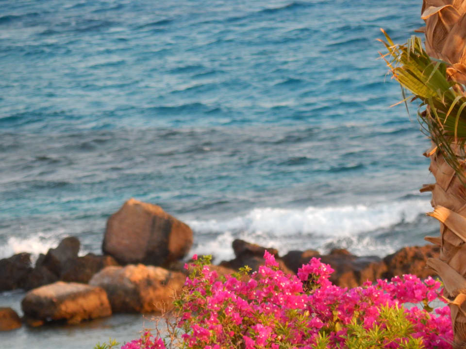 Strand Pickalbatros Citadel Resort