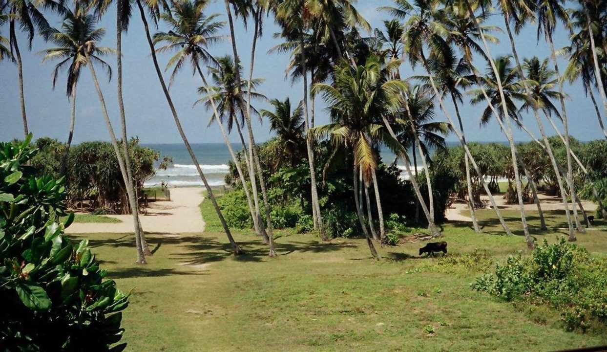 Blick zum Strand Wunderbar Beach Club Hotel