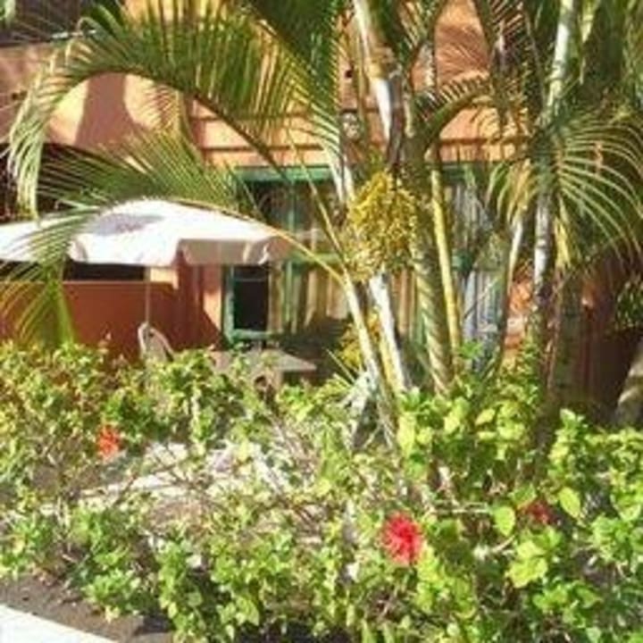 Zimmer 112/vom Pool Adrián Hoteles Colón Guanahaní - Adults only