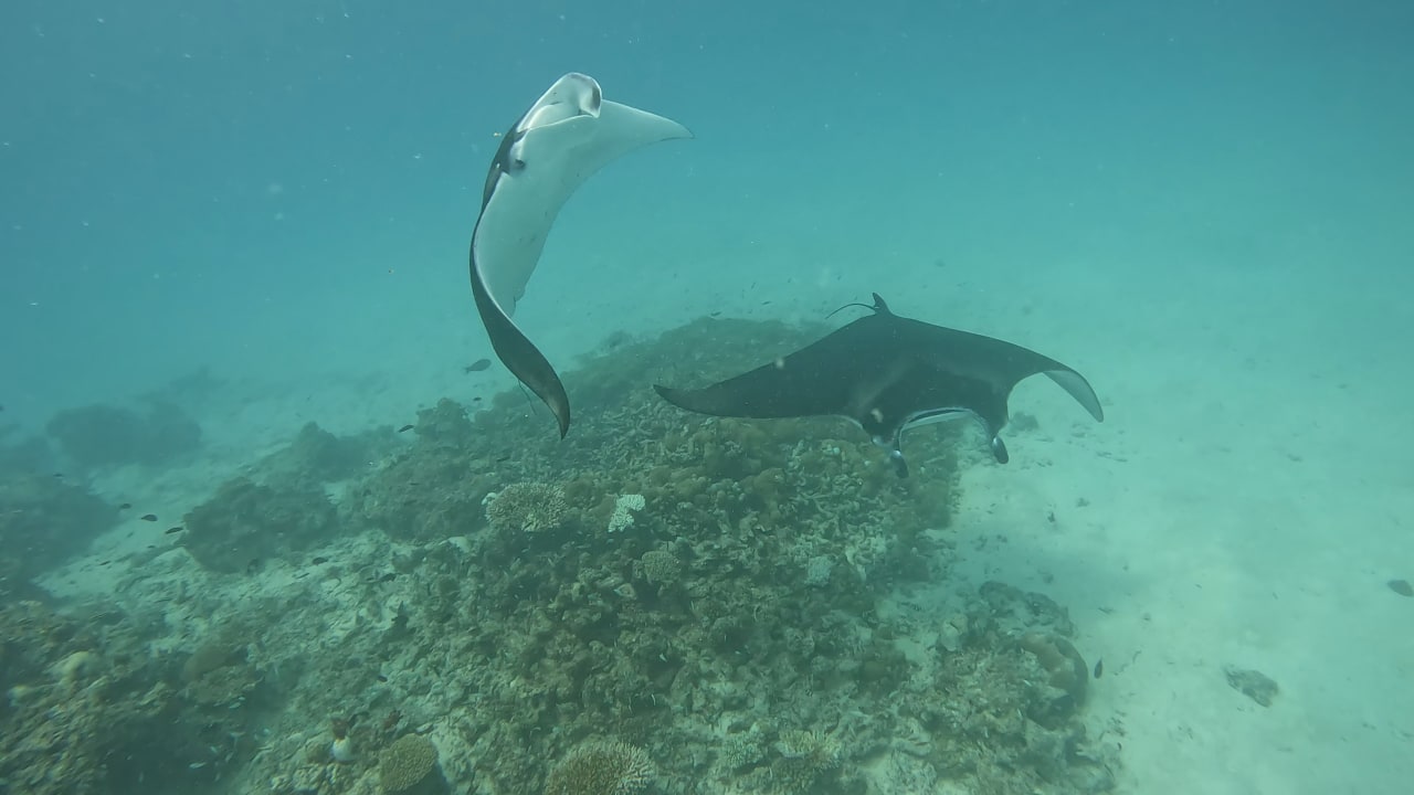 Sonstiges Fihalhohi Maldives