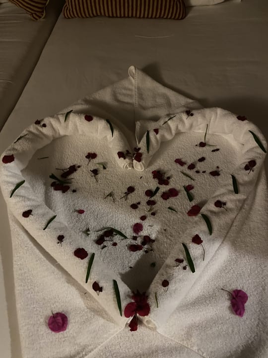 Zimmer Jaz Makadi Oasis Resort