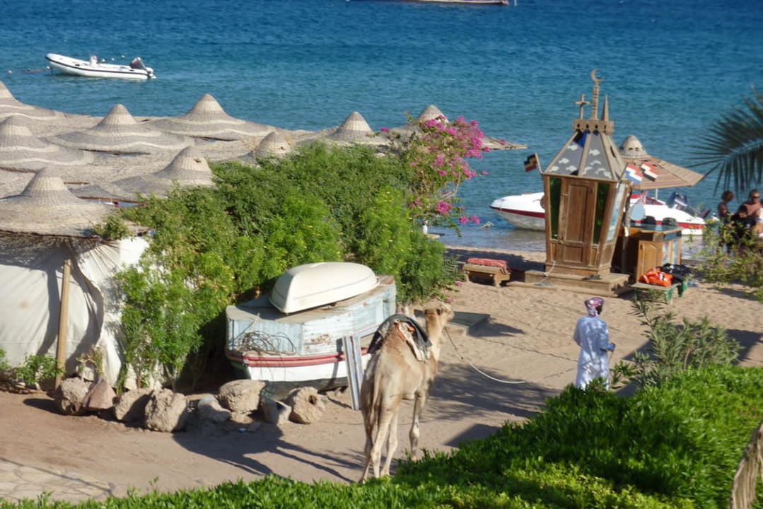 View to the beach JAZ Dahabeya