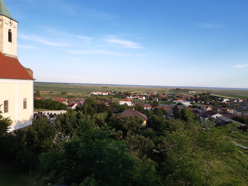 Ausblick Weingut & Gästehaus zum Seeblick - Familie Sattler