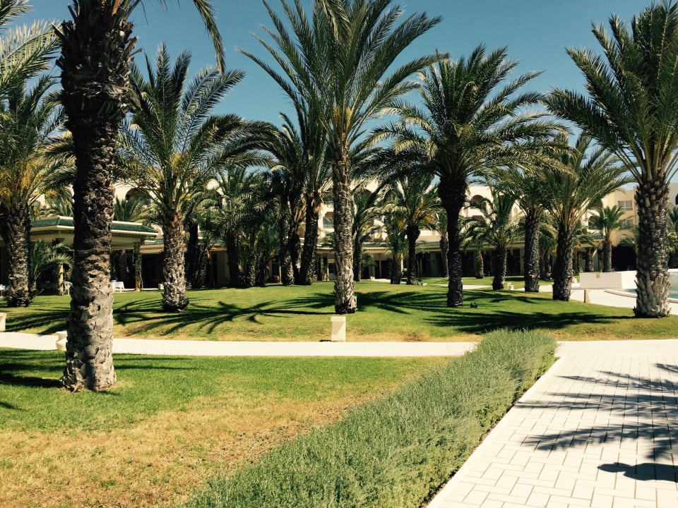 Anlage Iberostar Waves Averroes